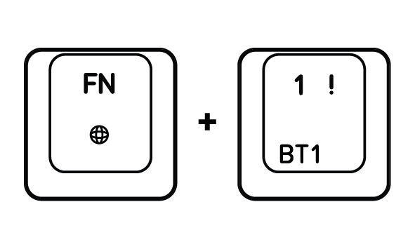 FN%2BBT1-01.png